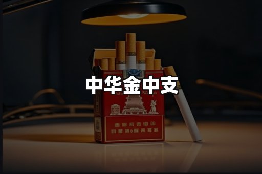 中华金中支